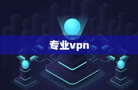 专业vpn